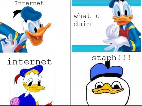 dolan.jpg