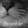 Bramblebelly Avatar