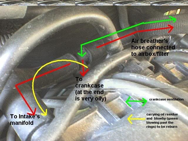 renault kangoo engine p c v system renault kangoo engine p c v system