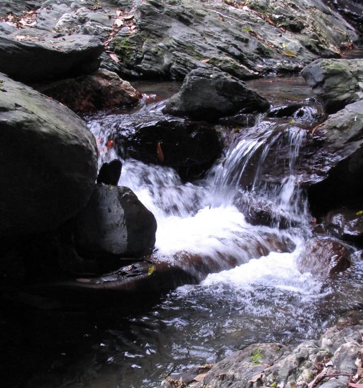 Taiwan Stream