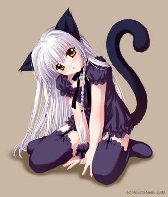 1102784713_lpicspic55.jpg CAT ANIME image by baby-blue43