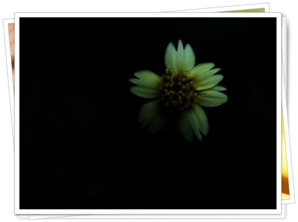คอนเสิร์ตอัสนี วสันต์ เลียนแบบ