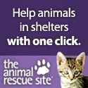 Click here to help animals in
shelters