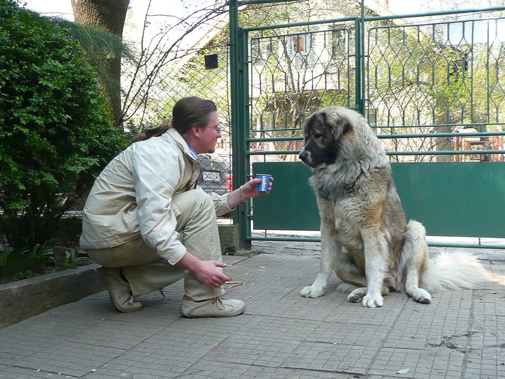 Качена снимка