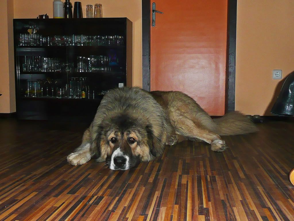 Качена снимка