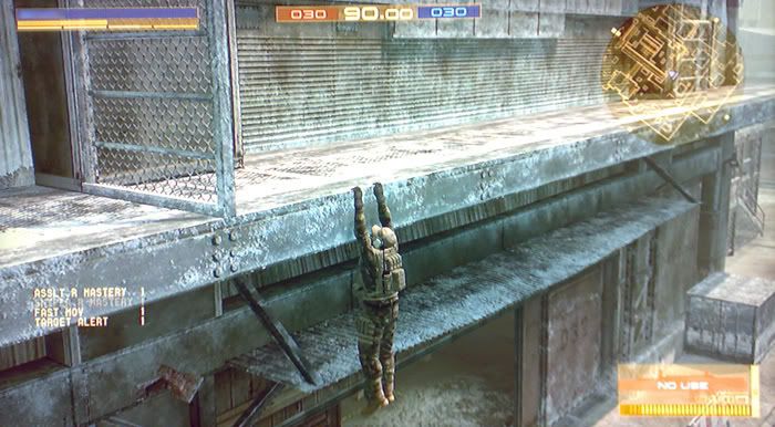hanging.jpg