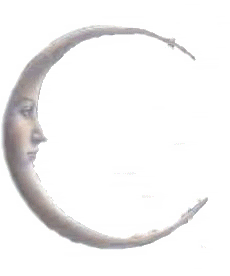 fairy-1.gif fairy image by ChildWithoutAVoice2