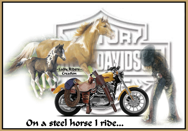 harley davidson photo: HARLEY DAVIDSON 2ahcphv.gif