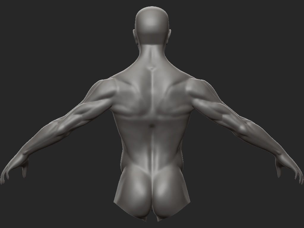 AnatomyStudy01_back.jpg