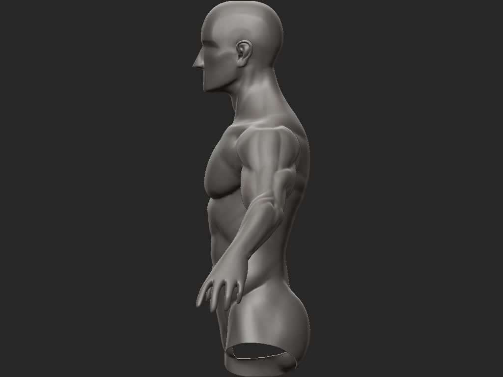 AnatomyStudy01_profile.jpg