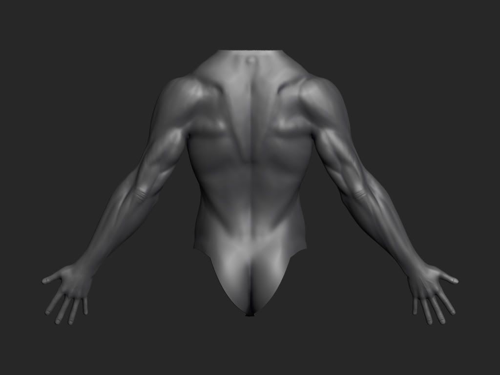 male_back_anatomy_wip.jpg