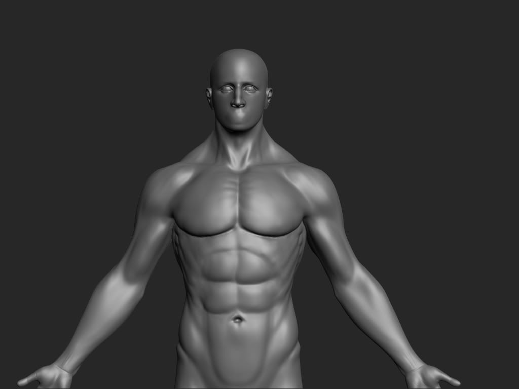 anatomy_male_wip002.jpg