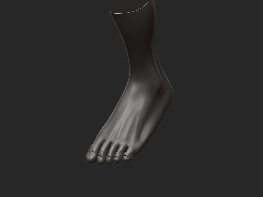 foot_threequarter.jpg