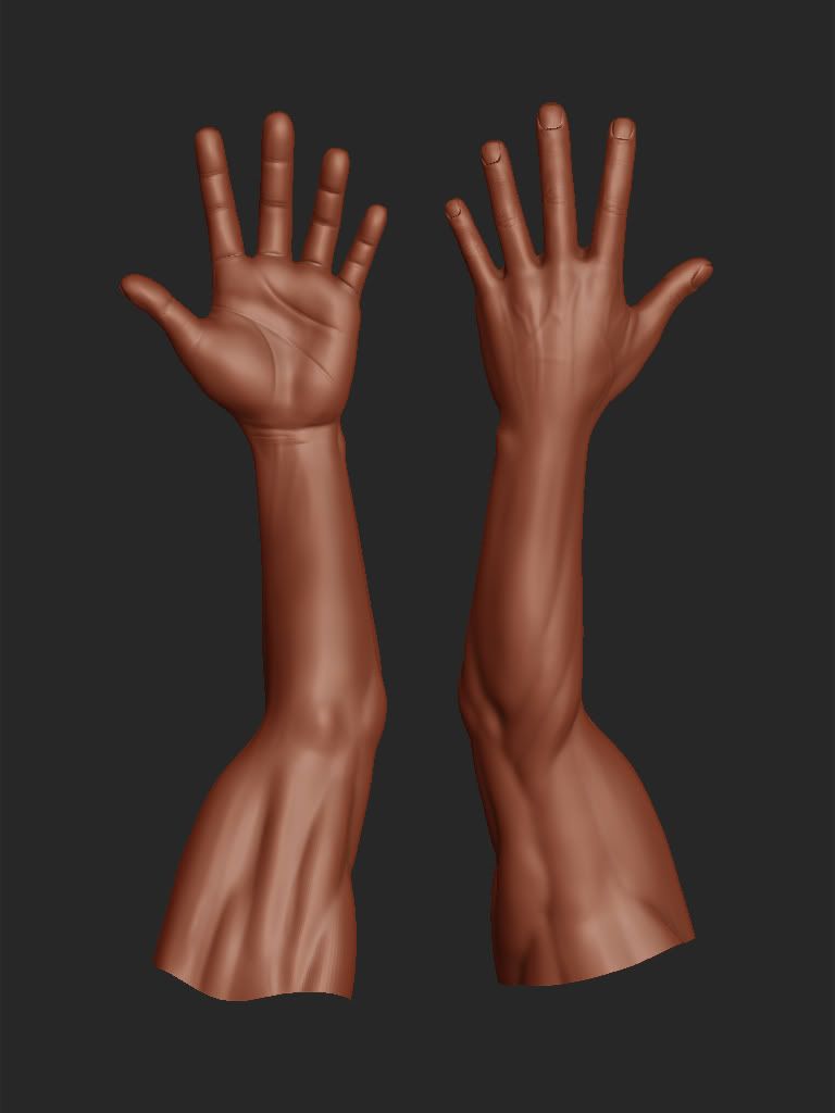 hands_dorsalplantar.jpg