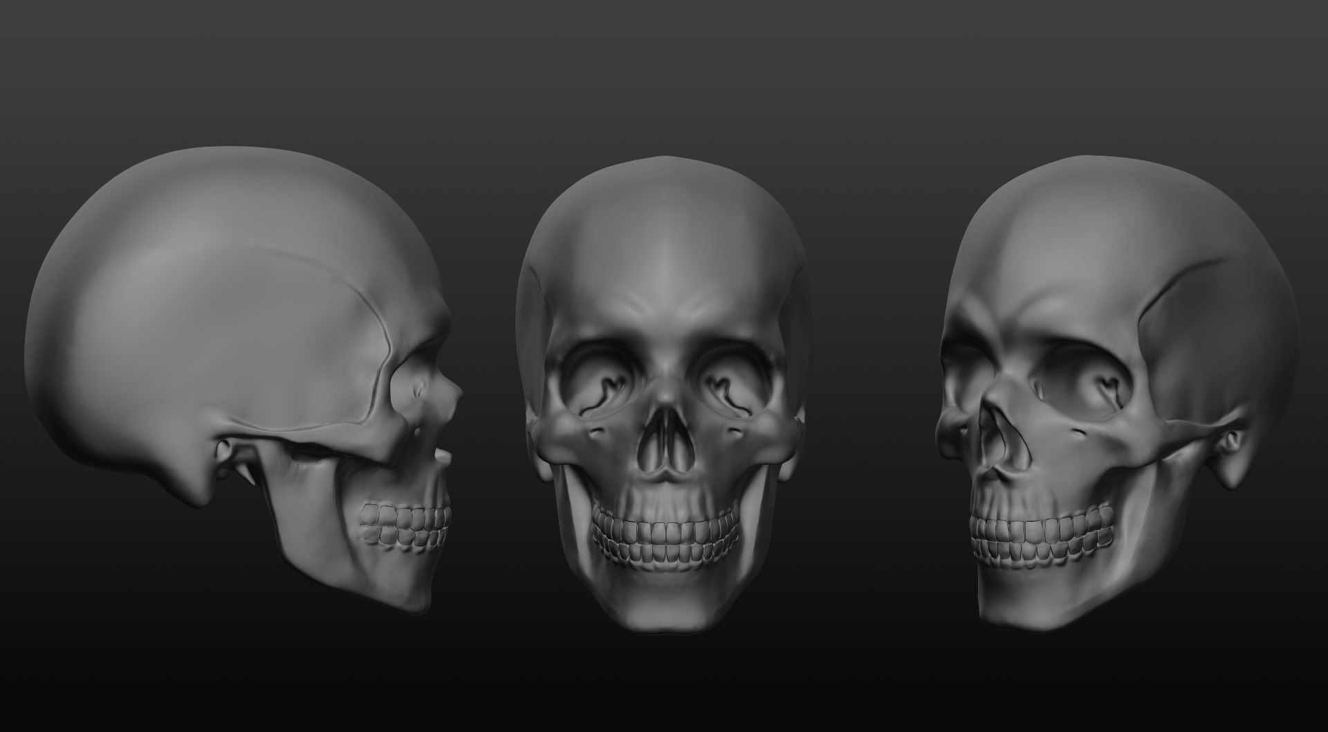 sculptris_skull.jpg