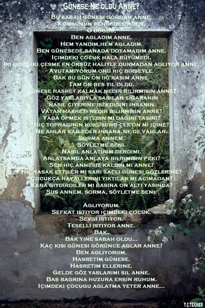 HHi.jpg