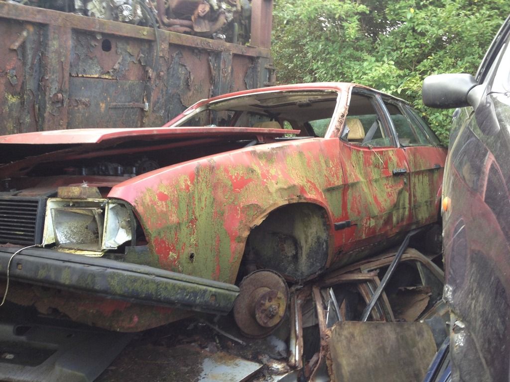 0E56DFDE-07D2-478D-AC7A-CA925C0CCAC2-216