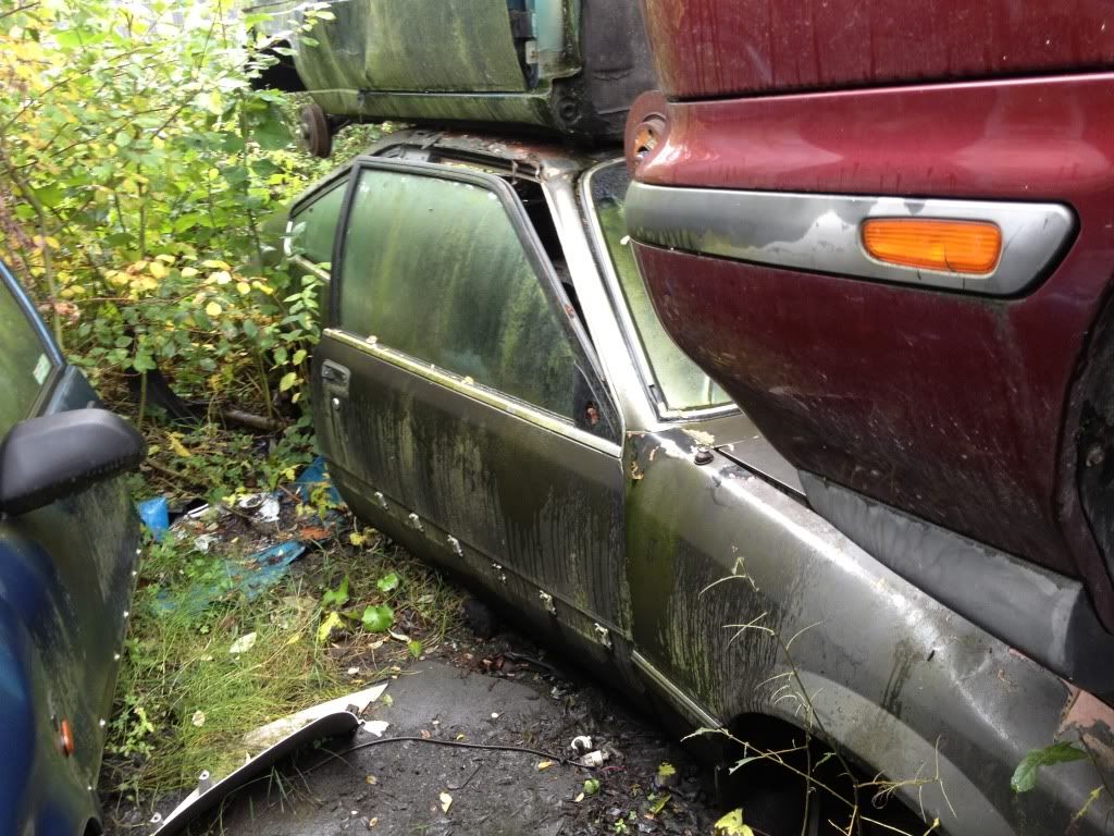 6F4F65C9-3D4D-4913-B6C3-1024E3CB827E-197