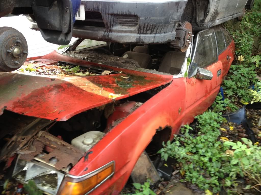 7885A46D-C09A-4A89-B4B3-A65CADC556FC-197