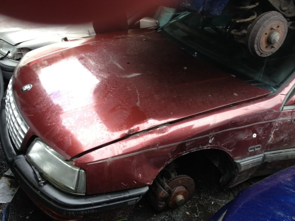 ABCFD6C8-4ECB-4AFC-A163-B2E0B4E737E8-197