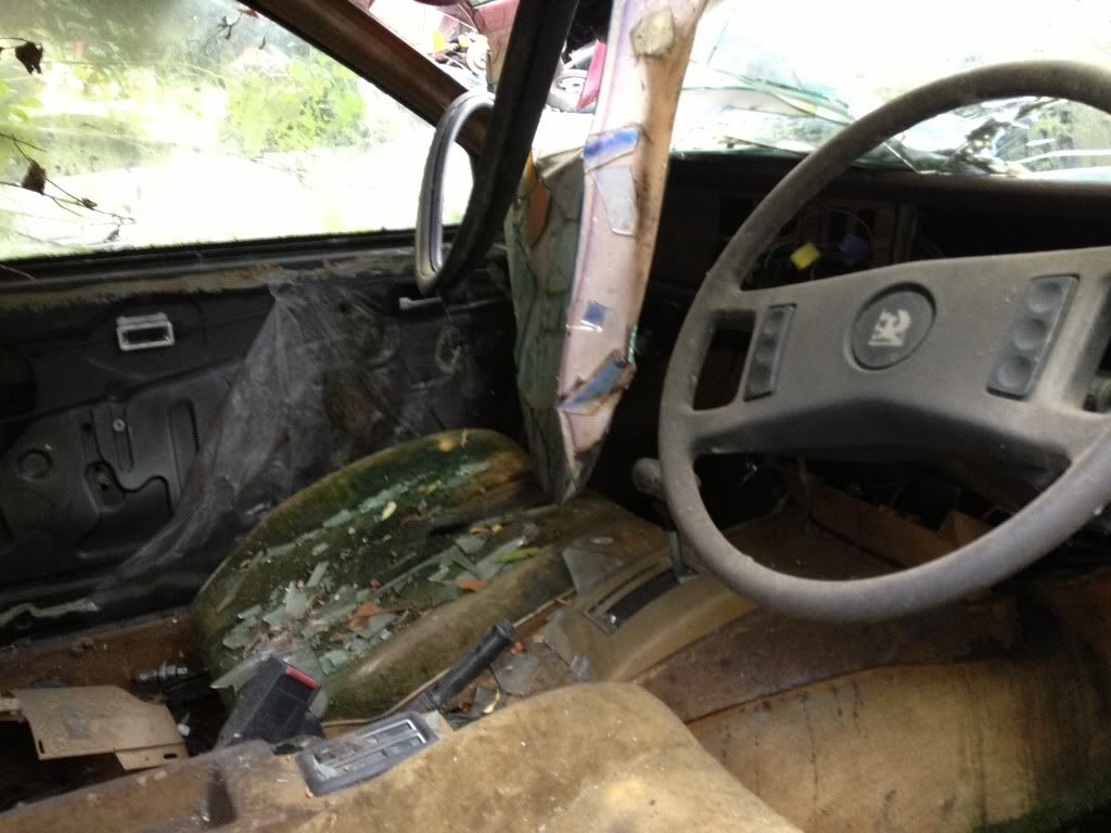 B0F0A821-866A-44E8-8A45-434A0A017B05-197