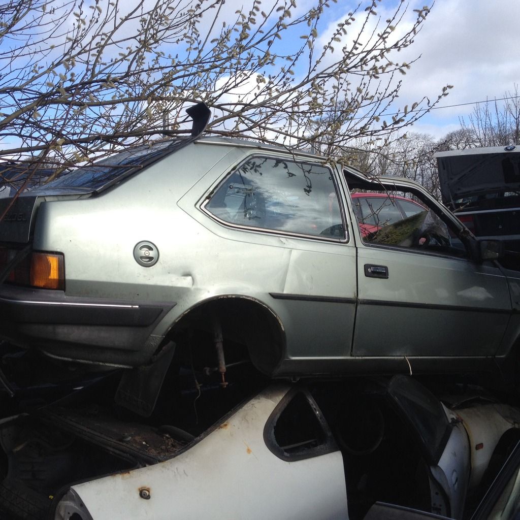 D5D41579-1E61-4330-82D3-125FF2D866E1-208