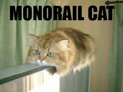 MonorailCat.jpg