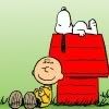 charlie brown and snoopy Pictures, Images and Photos
