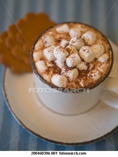 HOT CHOCOLATE WITH LOTS OF MARSHMELLOWS Pictures, Images and Photos