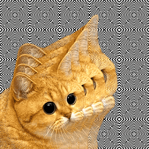 hypnocat.gif