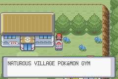 NaturousGym.png