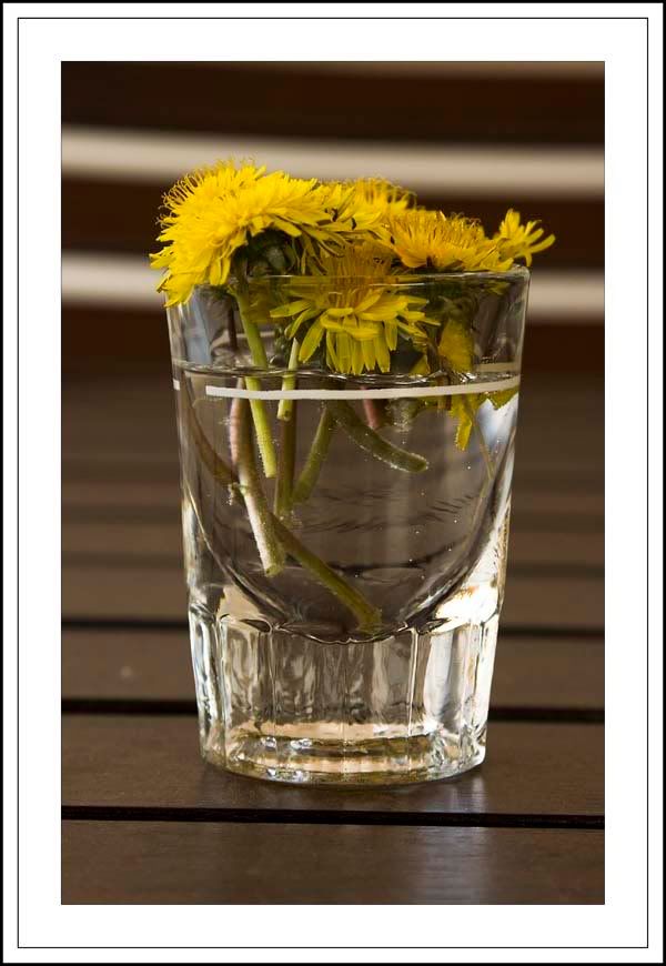 Dandelion Bouquet - courtesy of Zander