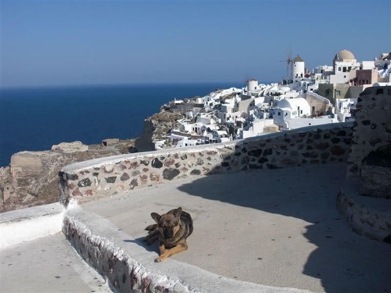 http://i167.photobucket.com/albums/u138/716prooo/Santorini074.jpg