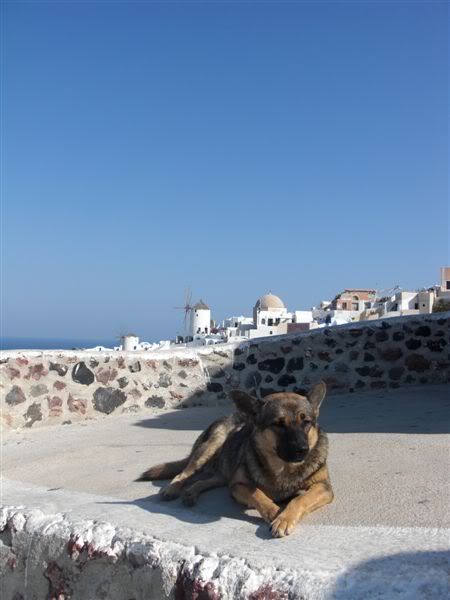 http://i167.photobucket.com/albums/u138/716prooo/Santorini075.jpg