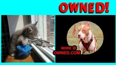 Kittys_Target_Owned.jpg