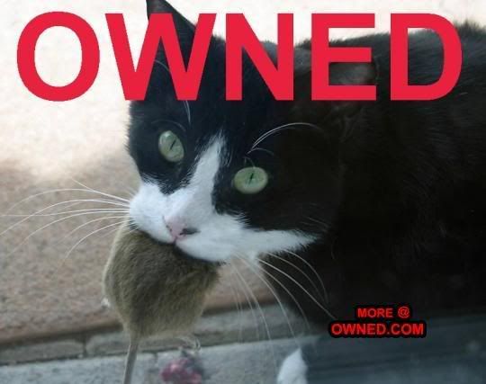 Owned_Mouse.jpg