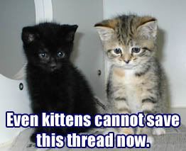 Thread-Cannot_be_saved_by_kitten-1.jpg