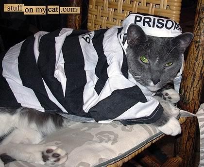 arrest.jpg