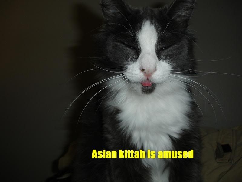 asiankittah.jpg