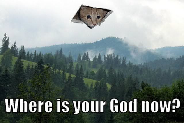 catgod-2.jpg