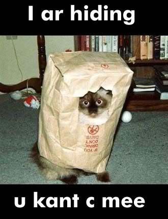 cats_for_38-3.jpg
