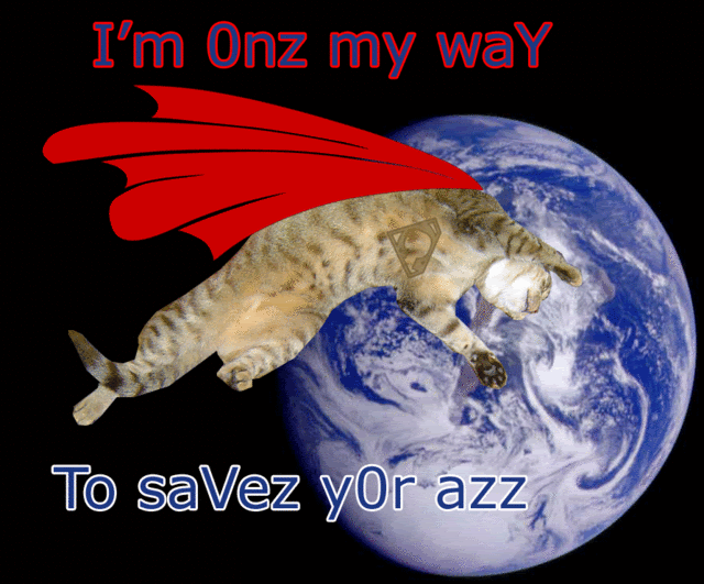 catzon.gif