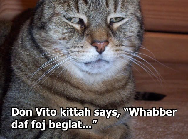 donvitokitty.jpg