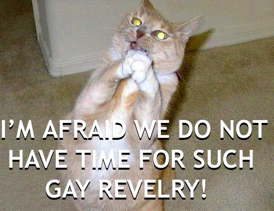 gayrevelryco4.jpg
