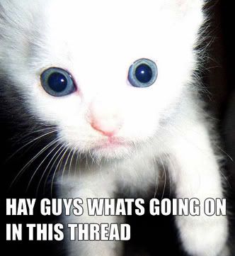 hayguys-2.jpg