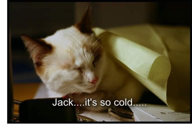 jack.jpg