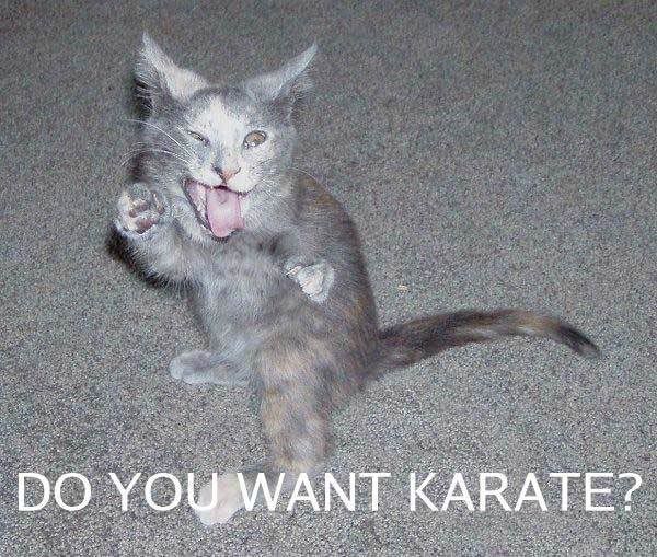 karate-1.jpg