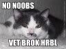 lolcatsdotcom21g8kjhn8cxlv4l7.jpg