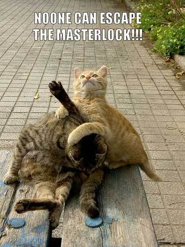 masterlock.jpg