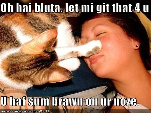 bluaww.jpg